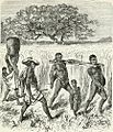 Slave-driving (Africa, 1878, p. 307)