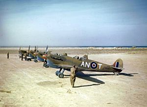 Spitfire VCs 417 Sqn RCAF in Tunisia 1943