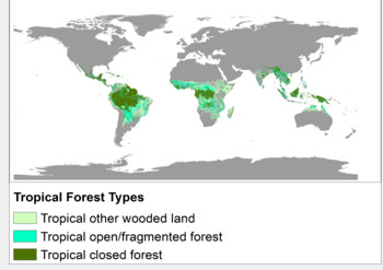 Tropical Forests 2000 by Major Ecological Domains