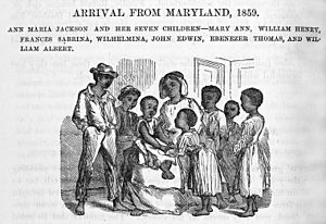 Arrival from Maryland, 1859