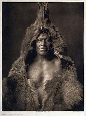 Bear's Belly by Edward Curtis, 1908