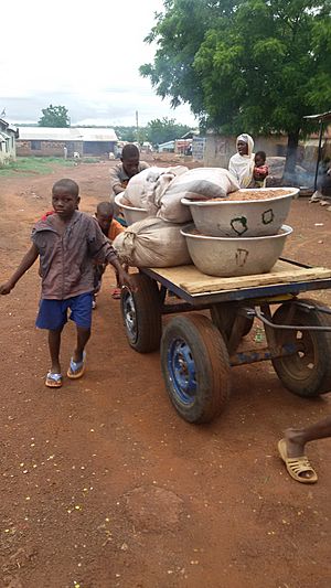 Children transporting crushed shea nut in Ghana