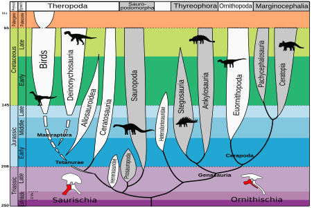 Evolution of dinosaurs EN