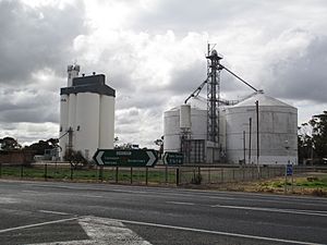 Grain silos at Keith