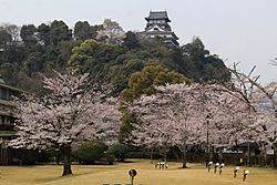 Inuyama Castle Keep Tower and Sakura