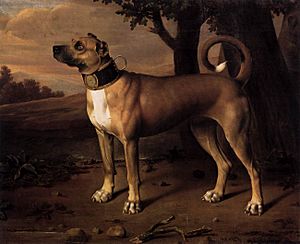 Johann Christof Merck - Ulmer Dogge - WGA15061