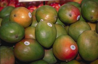 Mangos in market