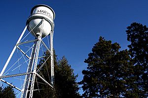 Marysville, WA water tower