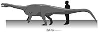 Fig 2 - Aardonyx life restoration by Matthew Bonnan.jpg