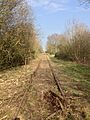 Mothballed Varsity Line eastbound from Salden Wood, 29th March 2014