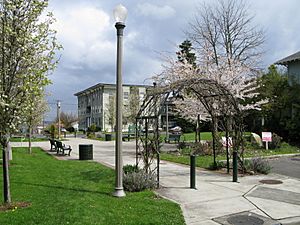 Neighbors Park in Tacoma's Hilltop Neighborhood - Small Park