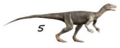 Nyasasaurus NT