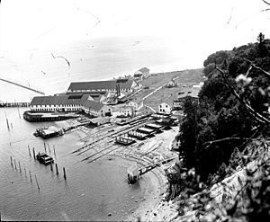 Point Roberts cannery ca. 1918