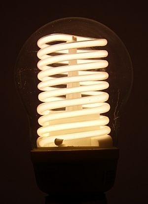 Cold-Cathode-CFL-illuminated