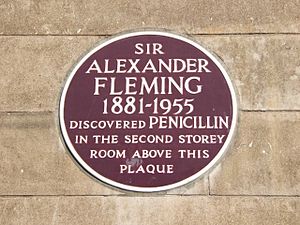 Fleming's Plaque - geograph.org.uk - 1452410