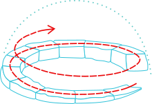Igloo spirale