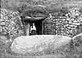 Newgrange (8294082764)