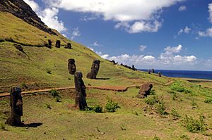 Outer slope of the Rano Raraku volcano, the quarry of the Moais with many uncompleted statues.