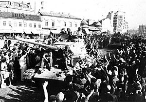 Red Army greeted in Bucharest