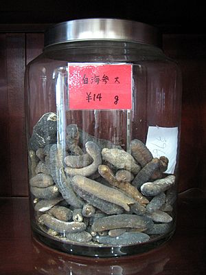 Yokohama Chinese Medicine Sea cucumber 1