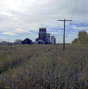 Grain elevators, 1974