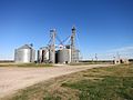 Hungerford TX Grain Company