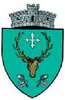 Coat of arms of Pătrăuți