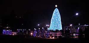 US National Christmas Tree 2010