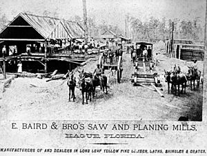 Baird and Bro's saw and planing mill - Hague, Florida
