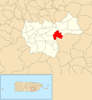 Location of Cedro within the municipality of Cayey shown in red