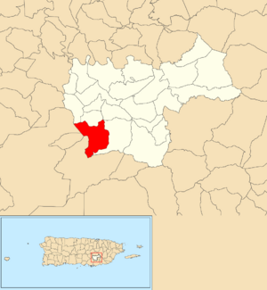 Location of Cercadillo within the municipality of Cayey shown in red