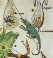 Chameleon Constellation
