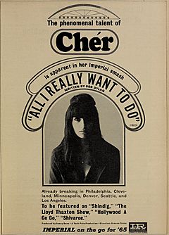 Cher - All I Really Want to Do ad - Cash Box 1965