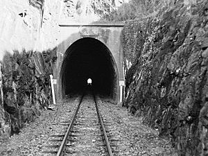 Cherry Gully Tunnel.jpg