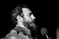 Fidel Castro, Havana, 1978 (9609361)