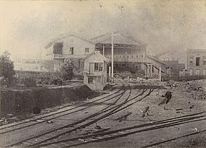 Ipswich Railway Station 1865