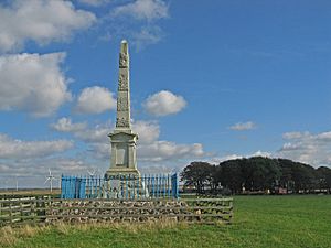 Lochgoin Monument - geograph.org.uk - 1499979