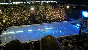 Manchester Arena skating