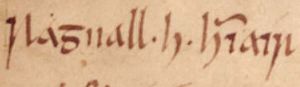 Ragnall ua Ímair (Oxford Bodleian Library MS Rawlinson B 489, folio 29r)