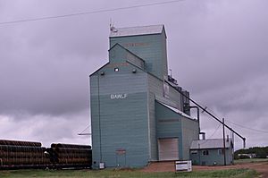 Bawlf grain elevator on the outskirts of the village along Alberta Highway 13, 2013