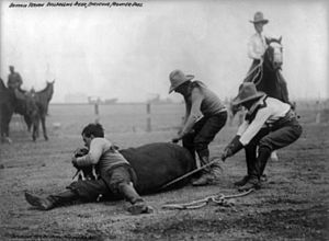 Bulldogging a steer, Cheyenne Frontier Days cph.3b03105