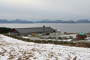Farm in sogn og fjordane