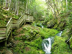 Fundy National Park of Canada 9