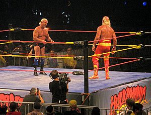 Hogan Vs Flair