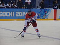 Michal Rozsíval 2014 Winter Olympics.jpg