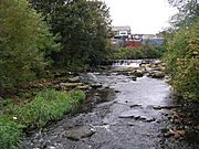 River Worth and Weir - geograph.org.uk - 595606