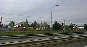 A view of Longaví City