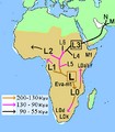 African Mitochondrial descent