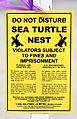Sea turtle nest sign (Boca raton, FL)