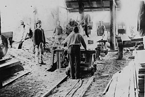 StateLibQld 1 123198 Men working in Rossler's Sawmill at Nerang, ca. 1896